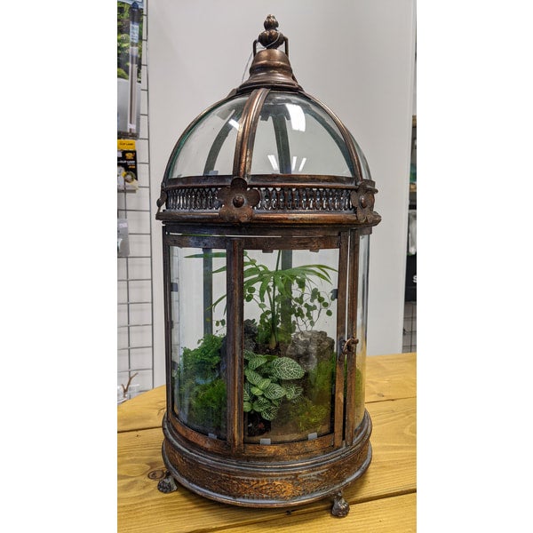 Shop All Aquascaping & Terranium Items | Captive Worlds | Captive